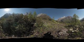 小金县长坪沟 (49)